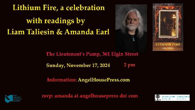 Celebrate Lithium Fire by Liam Taliesin
